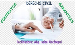 Derecho Civil Contratos y Garantías
